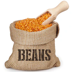 Organic Beans